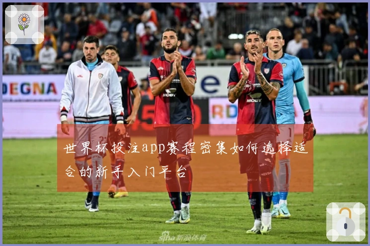 世界杯投注app赛程密集如何选择适合的新手入门平台