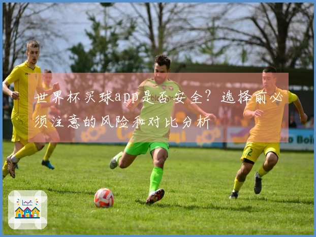 世界杯买球app是否安全？选择前必须注意的风险和对比分析