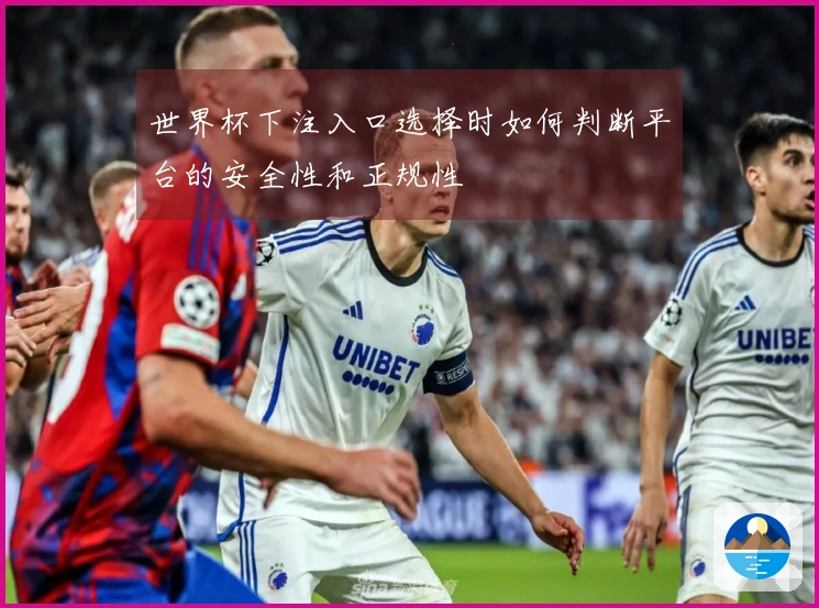 世界杯下注入口选择时如何判断平台的安全性和正规性