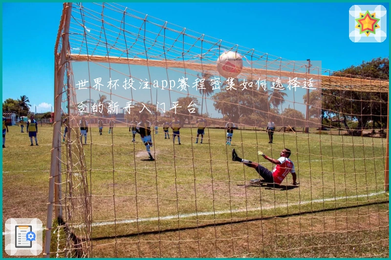 爱游戏体育资讯封面图